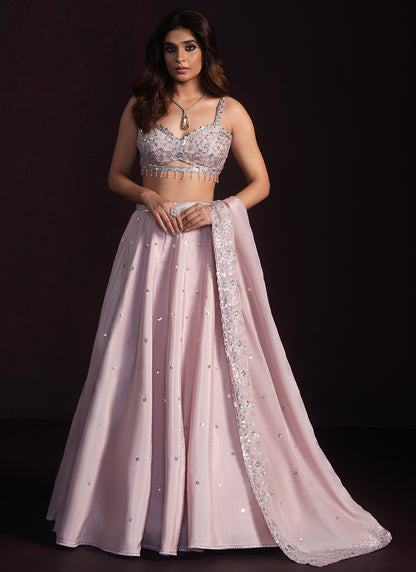 Blush Embroidered Crepe Lehenga