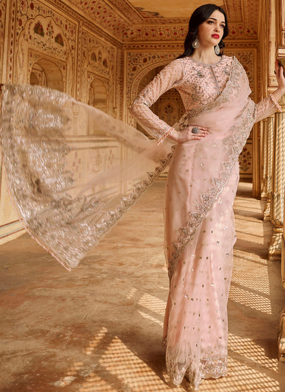 Blush Pink Embroidered Net Saree