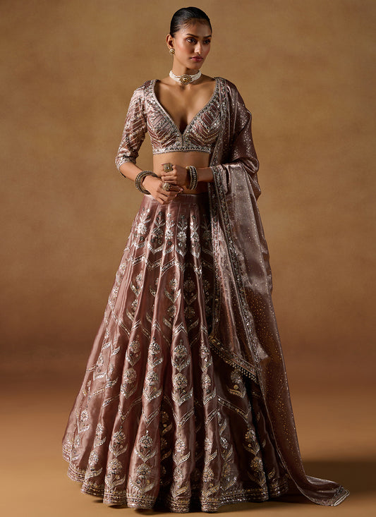 Brown Embroidered Tissue Lehenga