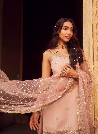 Dusty Peach Embroidered Silk Sharara Suit