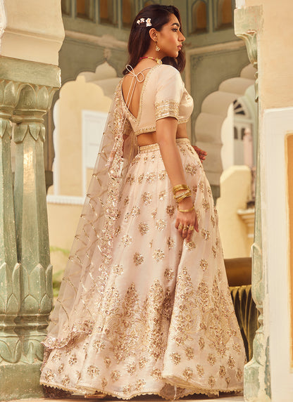 Nude Embroidered Organza Lehenga