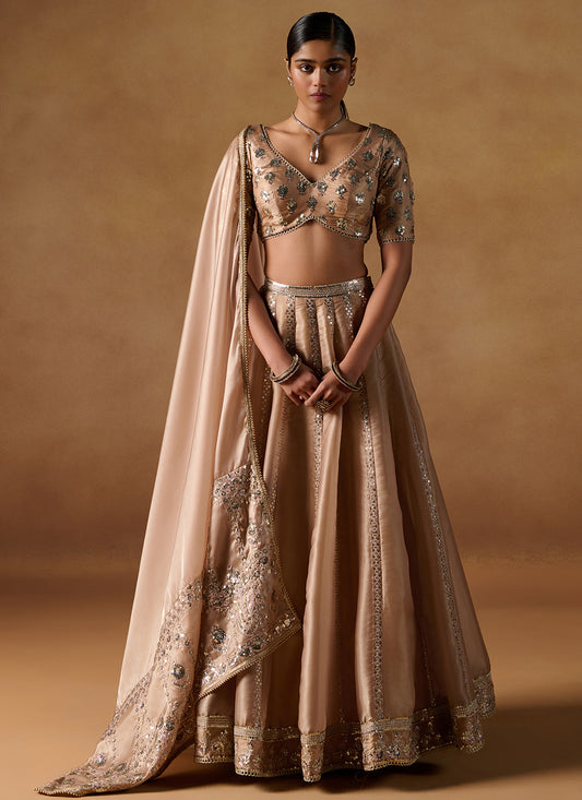 Gold Embroidered Tissue Lehenga