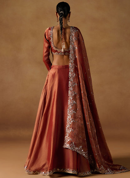 Rust Embroidered Tissue Lehenga