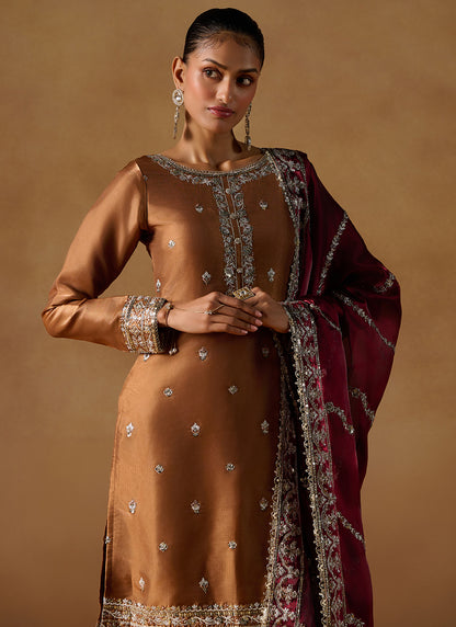 Rust Embroidered Tissue Straight Suit