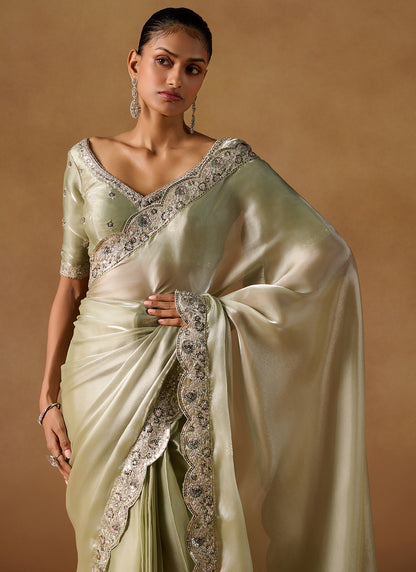 Light Olive Embroidered Tissue Saree