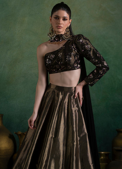 Golden Bronze and Black Embroidered Lehenga