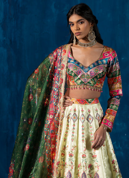 Yellow and Green Multicolor Embroidered Lehenga