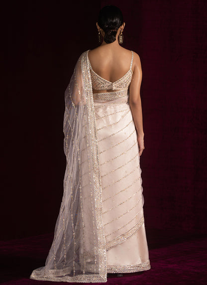 Nude Embroidered Net Saree