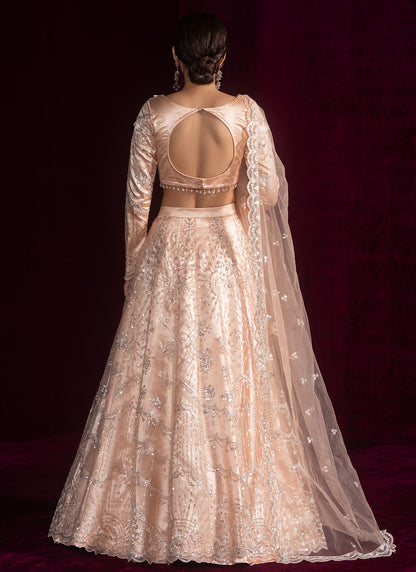 Soft Peach Embroidered Net Lehenga