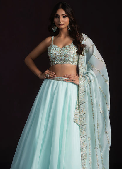 Mint Embroidered Organza Lehenga