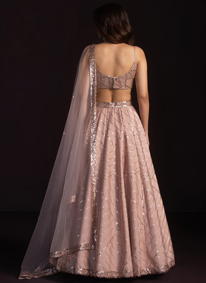 Nude Pink Embroidered Crepe Silk Lehenga