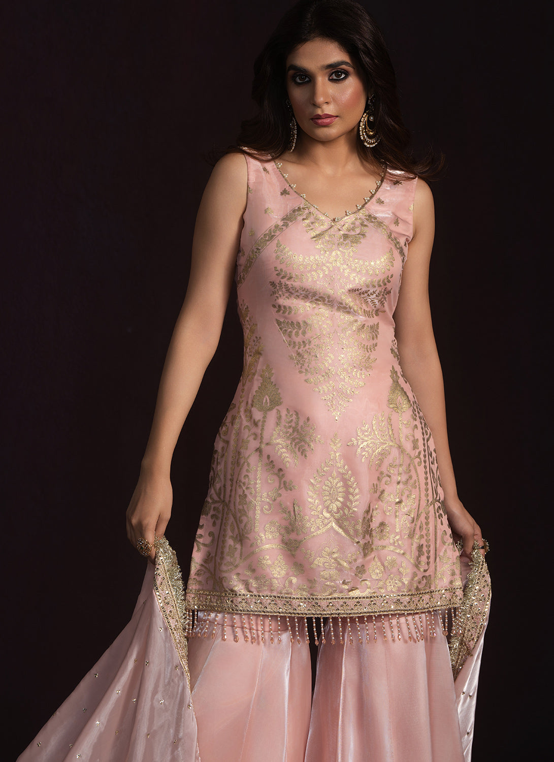 Nude Pink Embroidered Organza Gharara