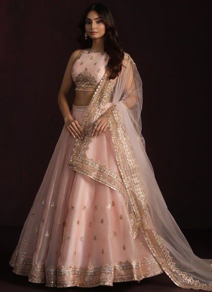 Soft Peach Embroidered Organza Lehenga