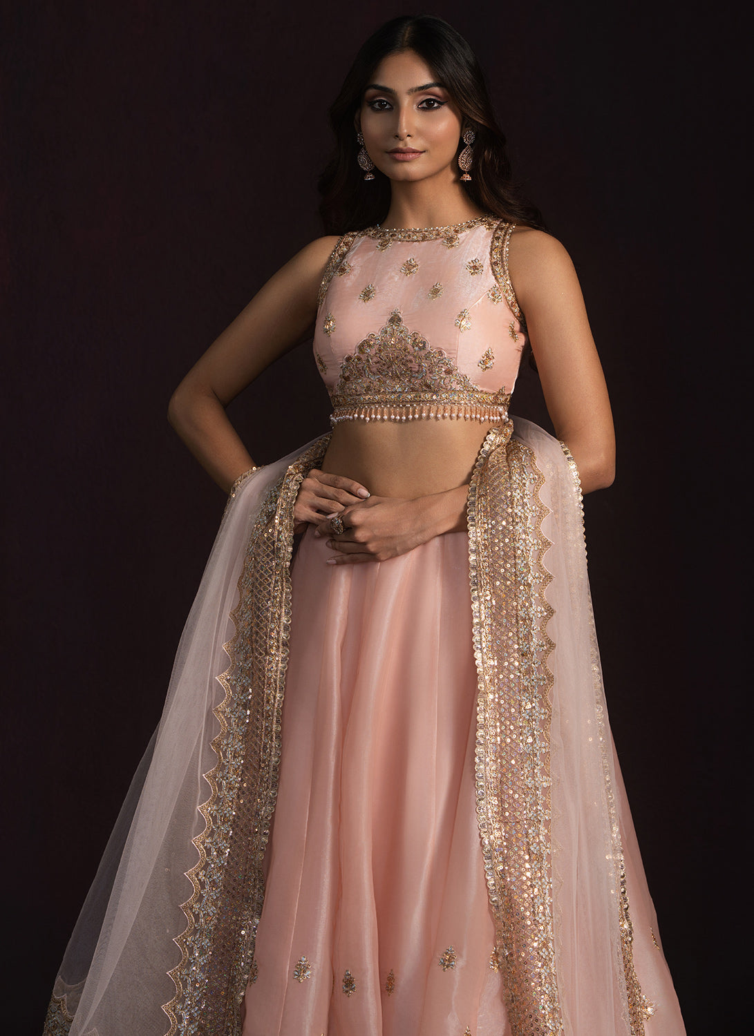 Soft Peach Embroidered Organza Lehenga