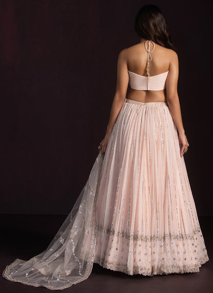 Blush Embroidered Georgette Lehenga