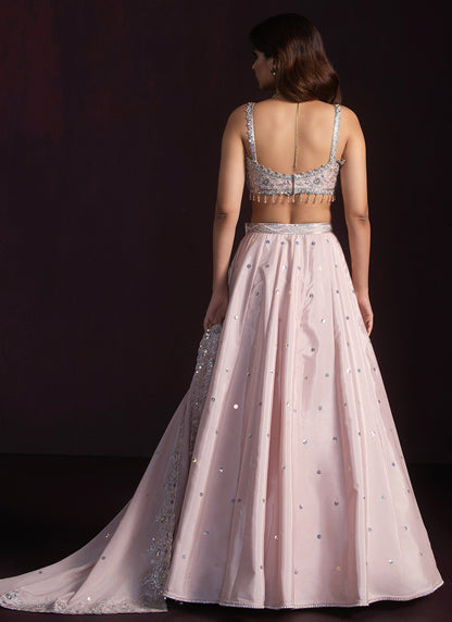 Blush Embroidered Crepe Lehenga