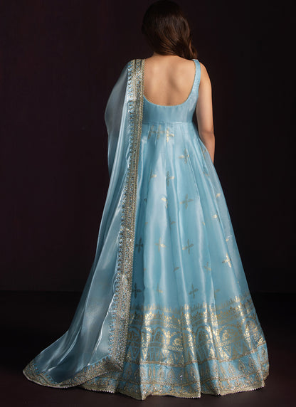 Light Blue Embroidered Organza Anarkali