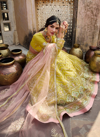 Yellow Embroidered Net Lehenga