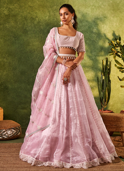 Light Mauve Embroidered Organza Lehenga