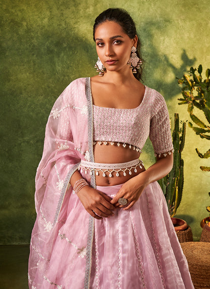 Light Mauve Embroidered Organza Lehenga