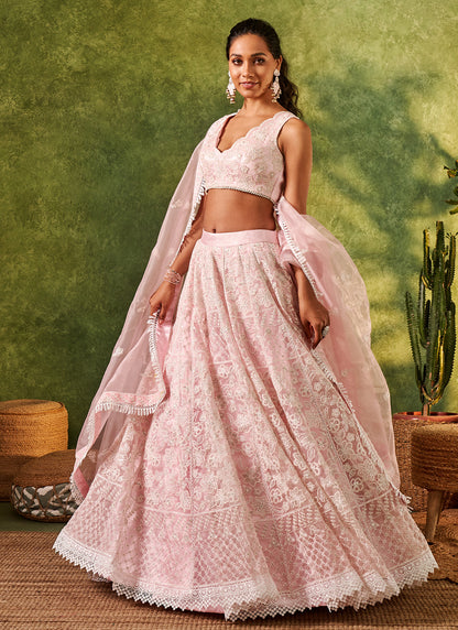 Light Pink Embroidered Organza Lehenga