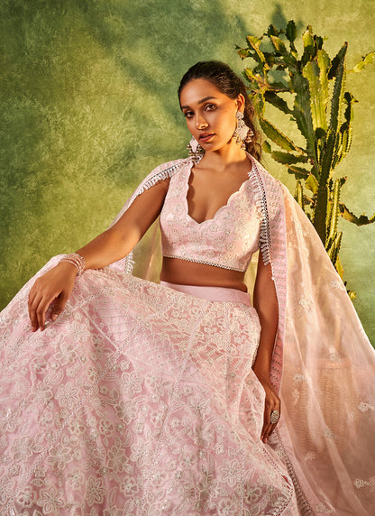 Light Pink Embroidered Organza Lehenga