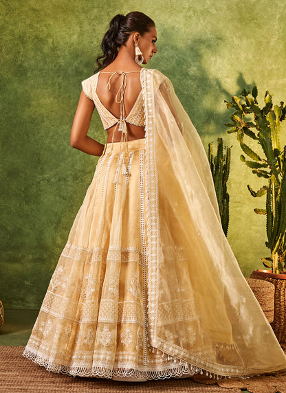 Soft Golden Embroidered Organza Lehenga