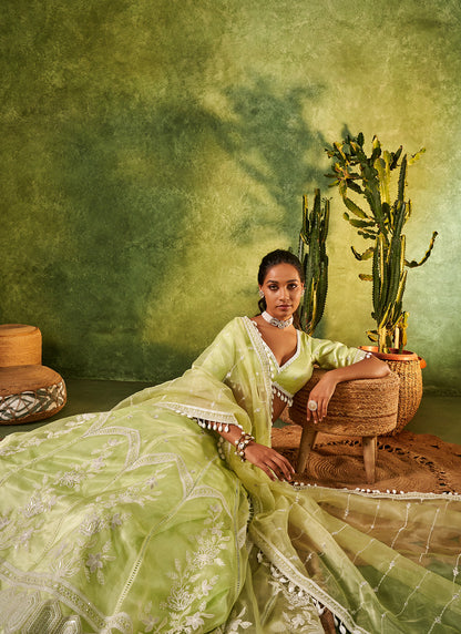 Light Green Embroidered Organza Lehenga