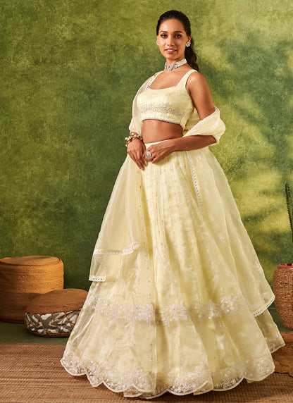 Soft Lime Embroidered Organza Lehenga