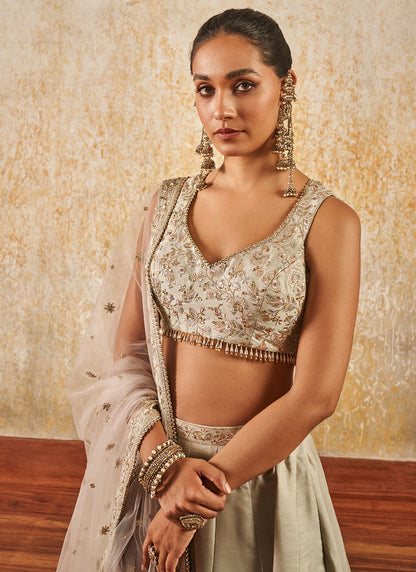 Light Grey Embroidered Lehenga