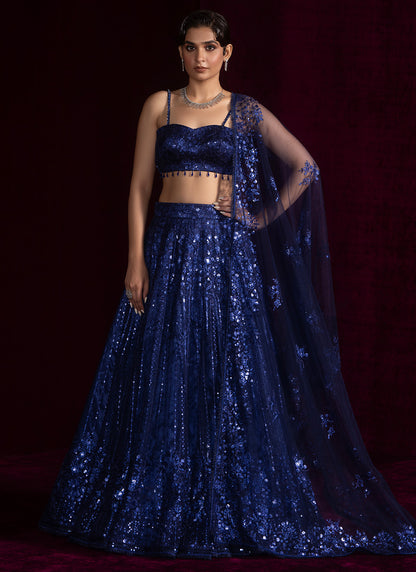 Navy Blue Embroidered Net Lehenga