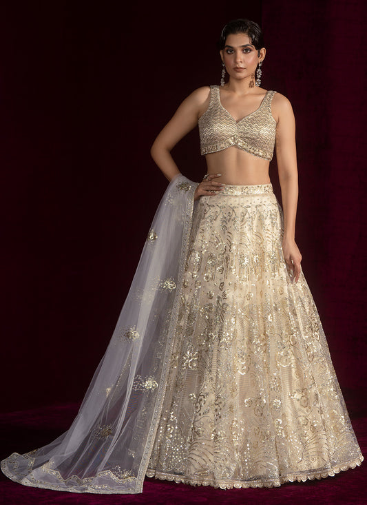 Nude Embroidered Net Lehenga