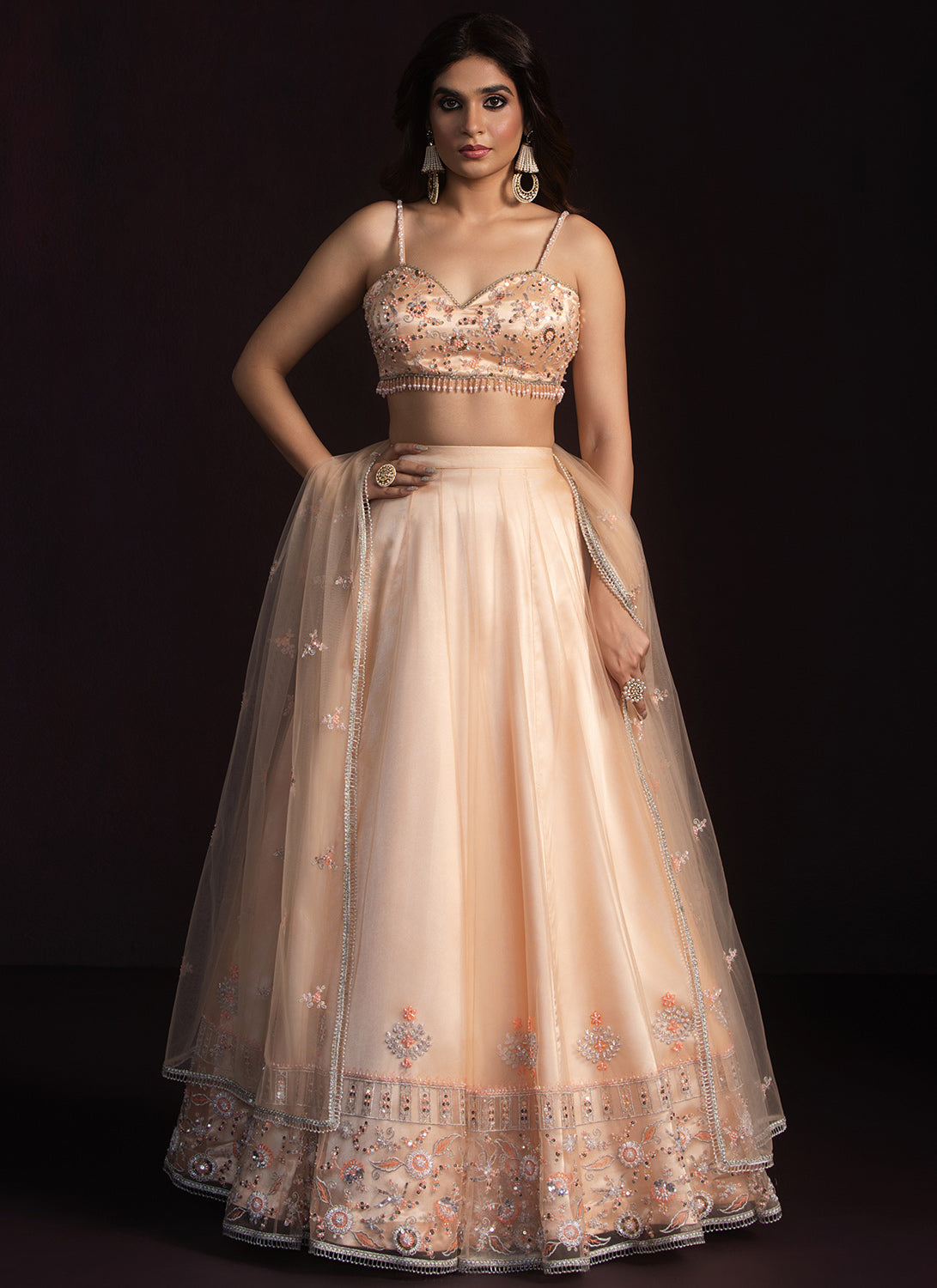 Soft Blush Embroidered Net Lehenga