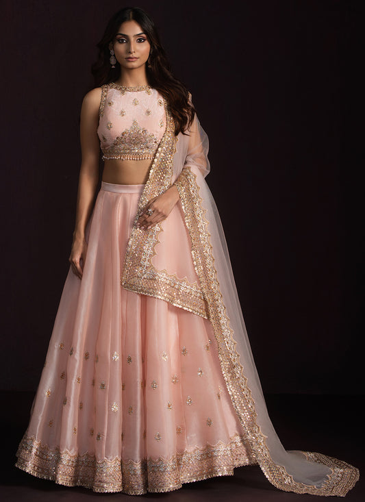 Soft Peach Embroidered Organza Lehenga