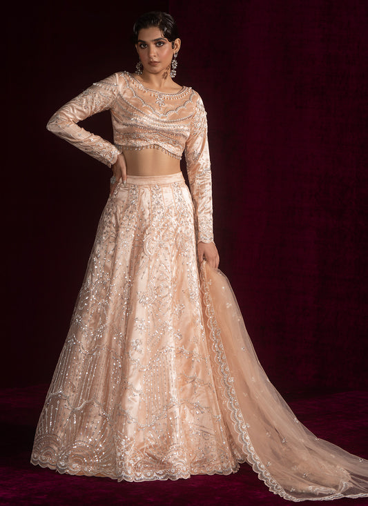 Soft Peach Embroidered Net Lehenga