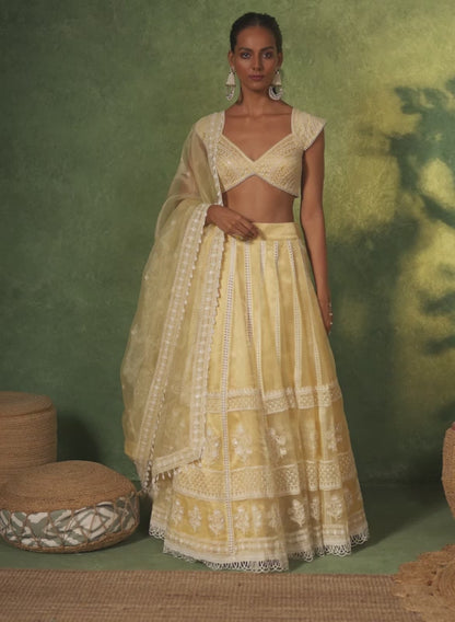 Soft Golden Embroidered Organza Lehenga