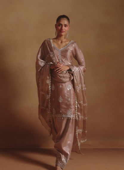 Dusty Brown Embroidered Tissue Punjabi Suit