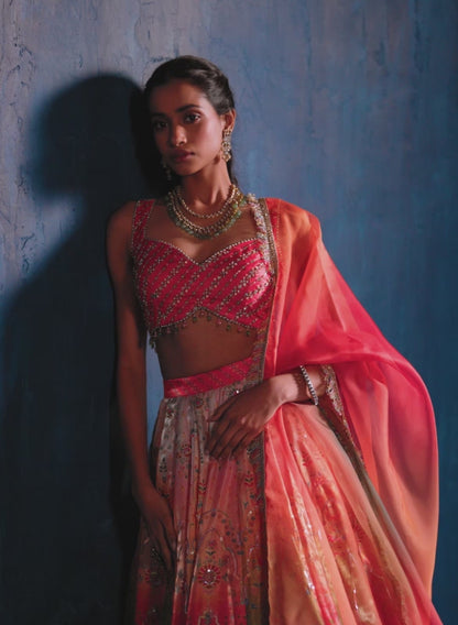 Red Multicolor Embroidered Lehenga