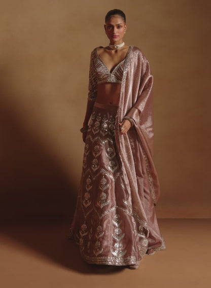 Brown Embroidered Tissue Lehenga