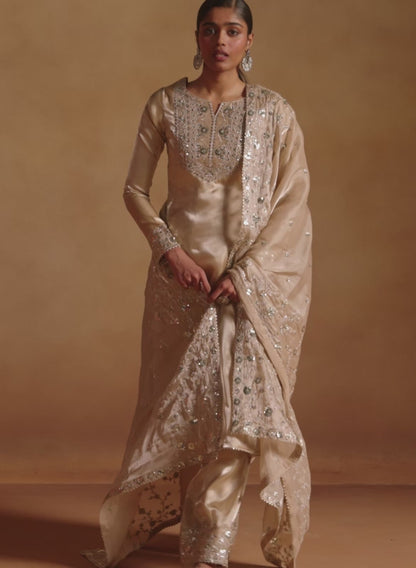 Beige Embroidered Tissue Palazzo Suit