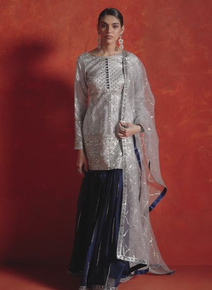 Soft Blue and Navy Blue Embroidered Gharara Suit