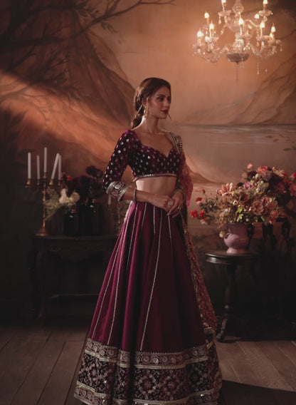 Dark Burgundy Embroidered Velvet Lehenga