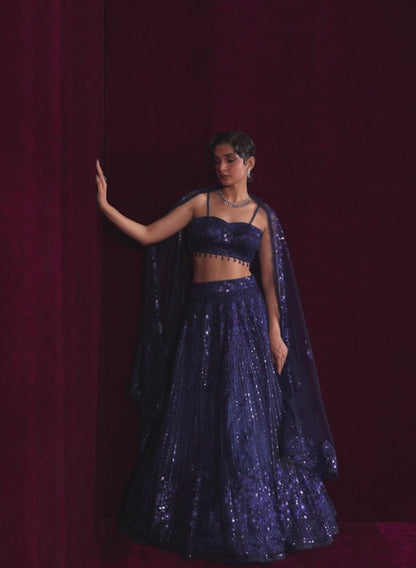 Navy Blue Embroidered Net Lehenga