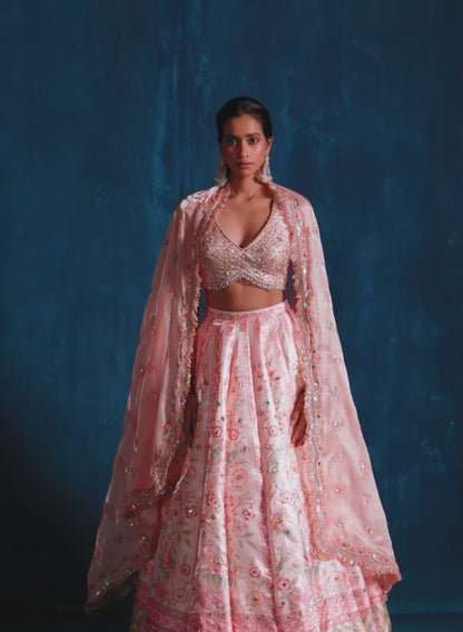 Light Pink Multicolor Embroidered Lehenga