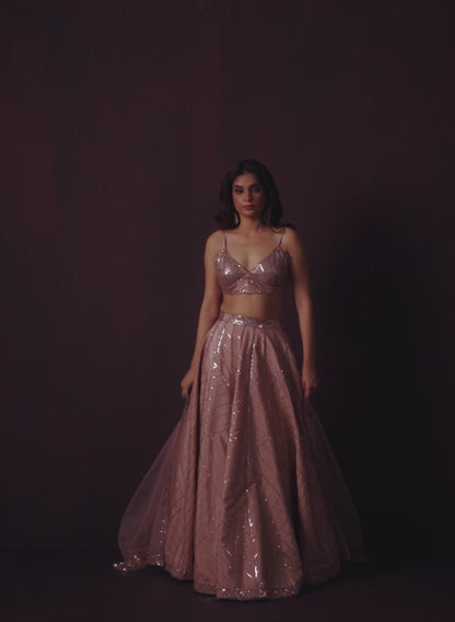 Nude Pink Embroidered Crepe Silk Lehenga