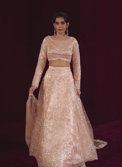 Soft Peach Embroidered Net Lehenga