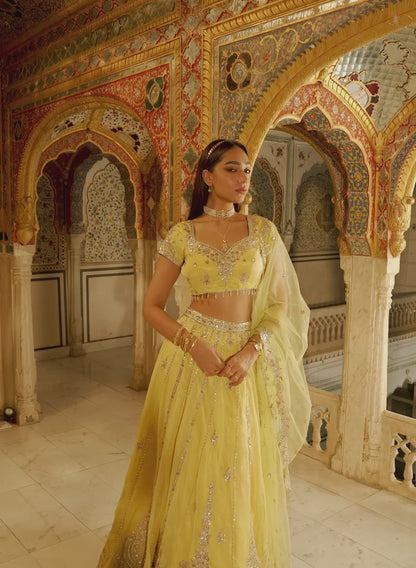 Yellow Embroidered Viscose Organza Lehenga