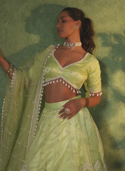 Light Green Embroidered Organza Lehenga