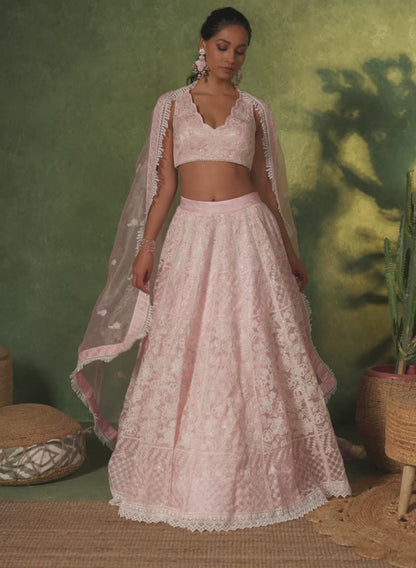 Light Pink Embroidered Organza Lehenga