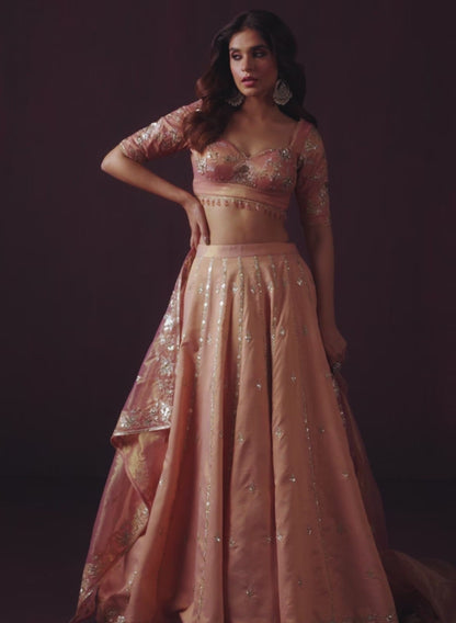 Dusty Peach Embroidered Net Lehenga